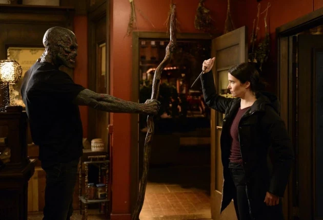 Кадр из 13 серии 6 сезона сериала Гримм